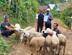 BUMDes Gotong Royong Salurkan Program Kemitraan RT/RW Desa Cilangkap