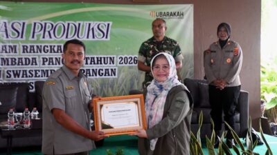 Produksi Padi Dan Jagung Melampaui Target, Sukabumi Peringkat Dua Nasional