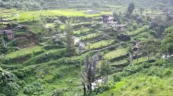 Desa Cidahu Sukabumi, Surga Alam di Kaki Gunung Salak