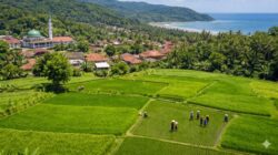 Desa Jayanti Sukabumi Bangkit: Potensi Besar Menuju Desa Mandiri