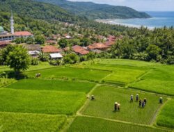 Desa Jayanti Sukabumi Bangkit: Potensi Besar Menuju Desa Mandiri