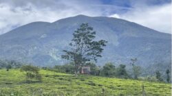 Optimalisasi Potensi Pariwisata dan Pertanian sebagai Unggulan Kabupaten Sukabumi