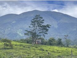 Optimalisasi Potensi Pariwisata dan Pertanian sebagai Unggulan Kabupaten Sukabumi
